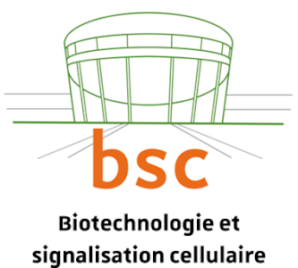BSC - BIOTECHNOLOGIE ET SIGNALISATION CELLULAIRE - XploreBIO
